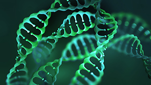 REGENERON GENETICS CENTER Image